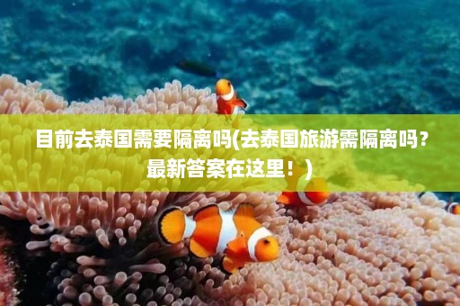 目前去泰国需要隔离吗(去泰国旅游需隔离吗？最新答案在这里！)