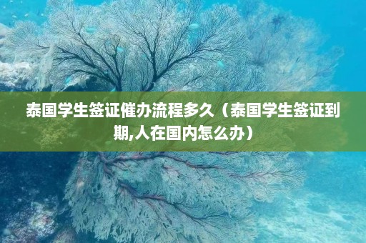 泰国学生签证催办流程多久（泰国学生签证到期,人在国内怎么办）