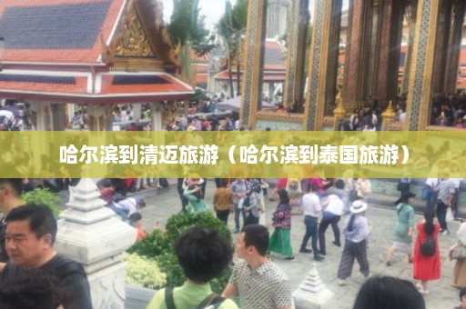 哈尔滨到清迈旅游（哈尔滨到泰国旅游）  第1张