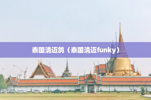 泰国清迈鸽（泰国清迈funky）