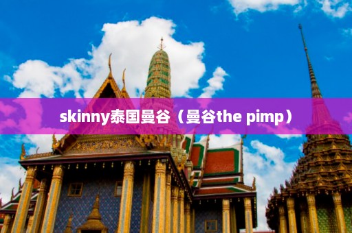 skinny泰国曼谷（曼谷the pimp）  第1张