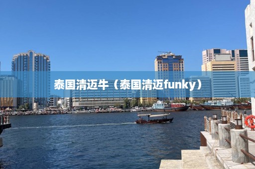 泰国清迈牛（泰国清迈funky）