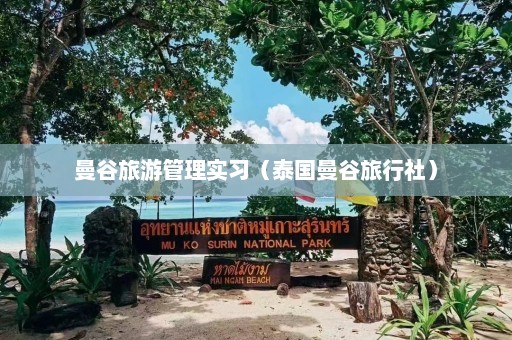 曼谷旅游管理实习（泰国曼谷旅行社）