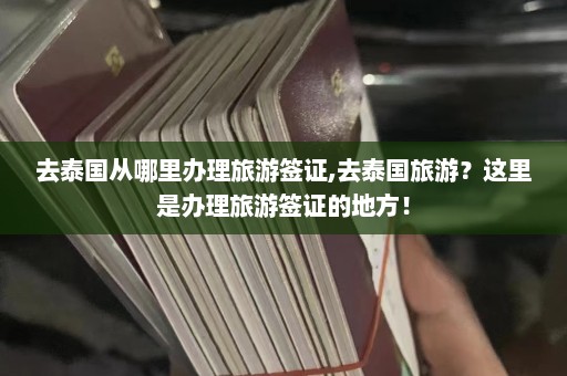 去泰国从哪里办理旅游签证,去泰国旅游？这里是办理旅游签证的地方！  第1张