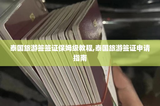 泰国旅游签签证保姆级教程,泰国旅游签证申请指南  第1张