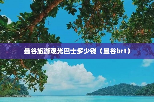 曼谷旅游观光巴士多少钱（曼谷brt）