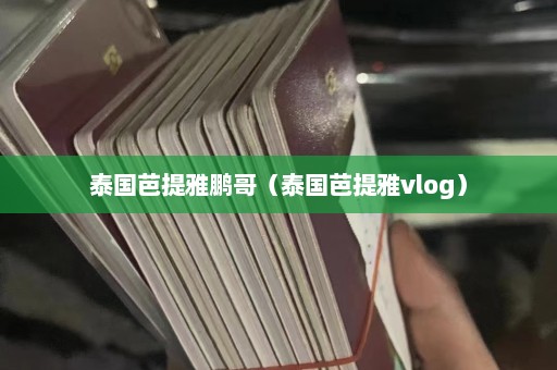 泰国芭提雅鹏哥（泰国芭提雅vlog）  第1张