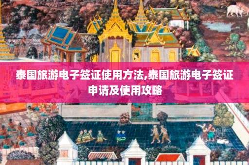 泰国旅游电子签证使用方法,泰国旅游电子签证申请及使用攻略  第1张