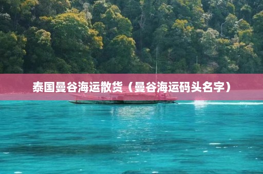 泰国曼谷海运散货（曼谷海运码头名字）