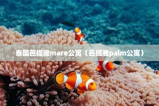 泰国芭提雅mare公寓（芭提雅palm公寓）