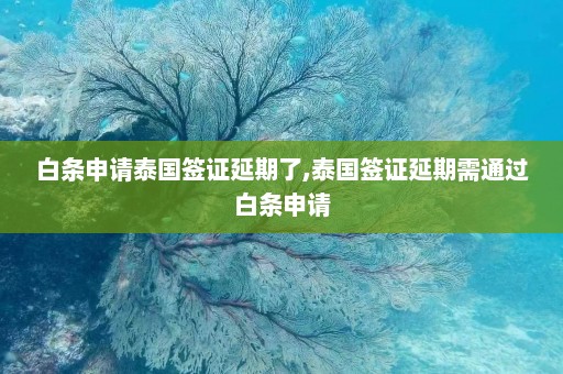 白条申请泰国签证延期了,泰国签证延期需通过白条申请