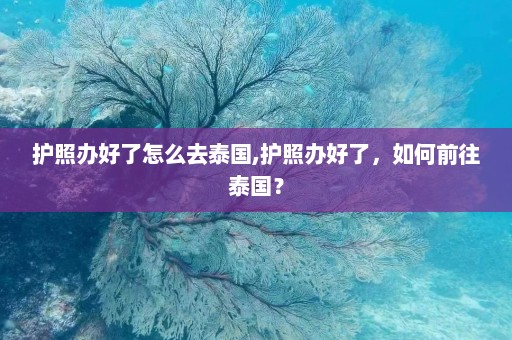 护照办好了怎么去泰国,护照办好了，如何前往泰国？