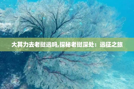 大其力去老挝远吗,探秘老挝深处：远征之旅