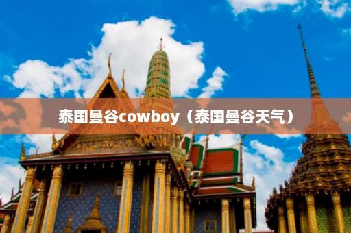 泰国曼谷cowboy（泰国曼谷天气）  第1张