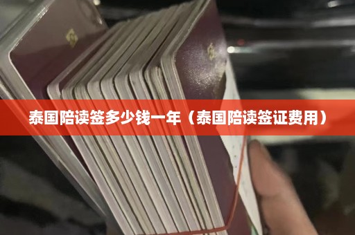 泰国陪读签多少钱一年（泰国陪读签证费用）