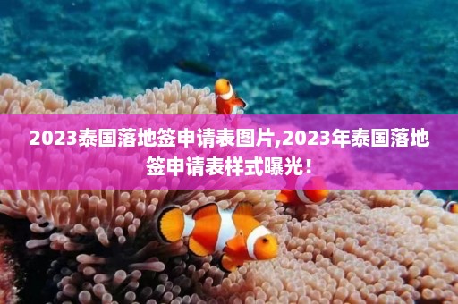 2023泰国落地签申请表图片,2023年泰国落地签申请表样式曝光！