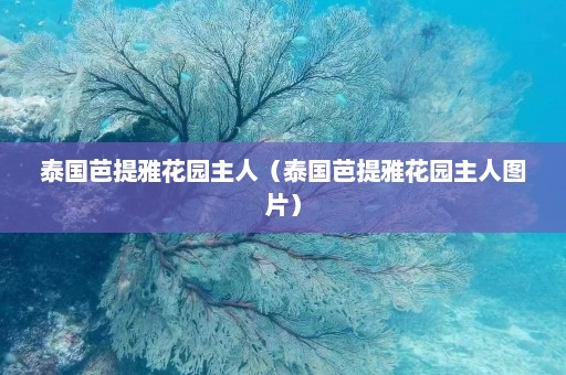 泰国芭提雅花园主人（泰国芭提雅花园主人图片）