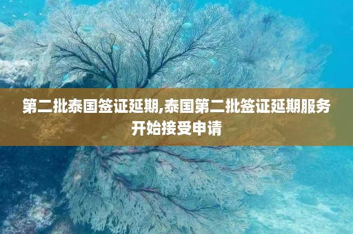 第二批泰国签证延期,泰国第二批签证延期服务开始接受申请