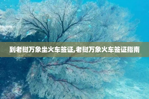 到老挝万象坐火车签证,老挝万象火车签证指南