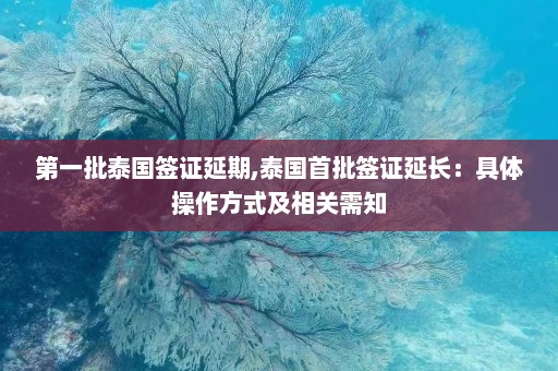 第一批泰国签证延期,泰国首批签证延长：具体操作方式及相关需知