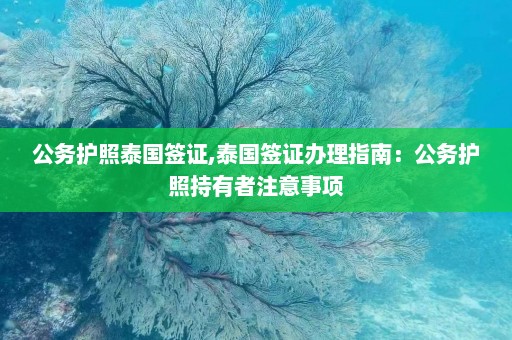 公务护照泰国签证,泰国签证办理指南：公务护照持有者注意事项