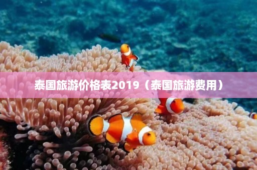 泰国旅游价格表2019（泰国旅游费用）