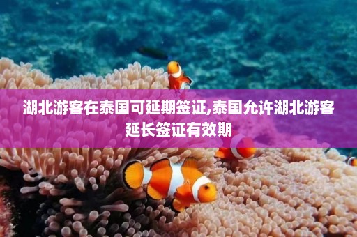 湖北游客在泰国可延期签证,泰国允许湖北游客延长签证有效期