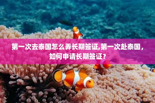 第一次去泰国怎么弄长期签证,第一次赴泰国，如何申请长期签证？