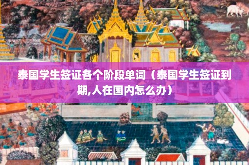 泰国学生签证各个阶段单词（泰国学生签证到期,人在国内怎么办）