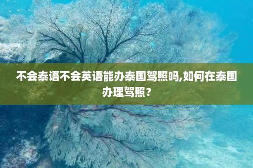 不会泰语不会英语能办泰国驾照吗,如何在泰国办理驾照？