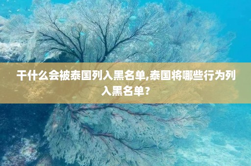 干什么会被泰国列入黑名单,泰国将哪些行为列入黑名单？