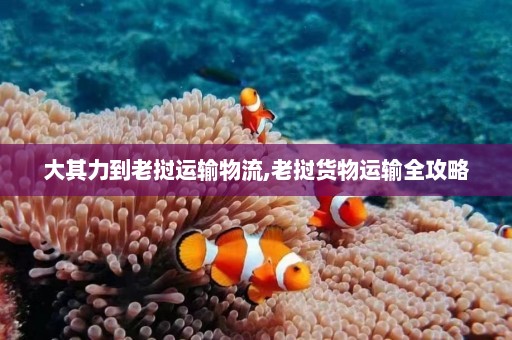 大其力到老挝运输物流,老挝货物运输全攻略