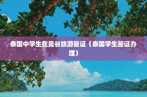 泰国中学生在曼谷旅游签证（泰国学生签证办理）