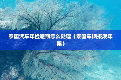 泰国汽车年检逾期怎么处理（泰国车辆报废年限）