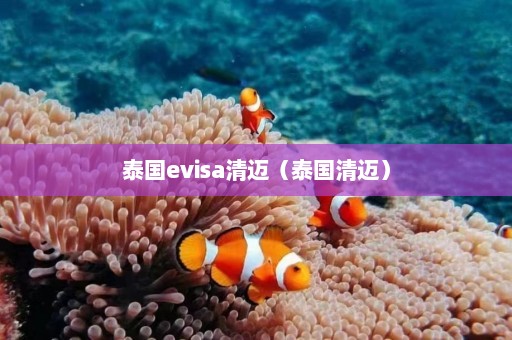 泰国evisa清迈（泰国清迈）