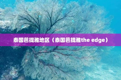 泰国芭提雅地区（泰国芭提雅the edge）