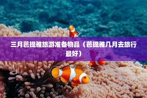 三月芭提雅旅游准备物品（芭提雅几月去旅行最好）