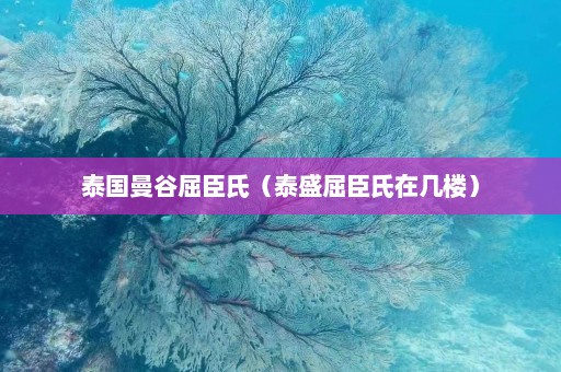 泰国曼谷屈臣氏（泰盛屈臣氏在几楼）