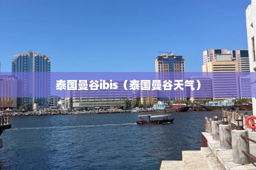 泰国曼谷ibis（泰国曼谷天气）  第1张