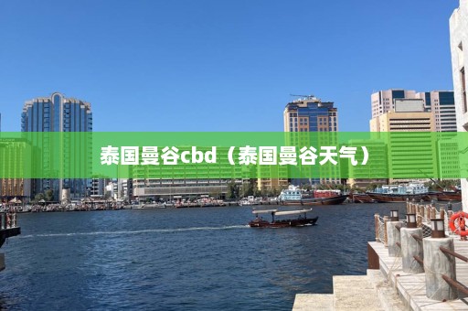 泰国曼谷cbd（泰国曼谷天气）