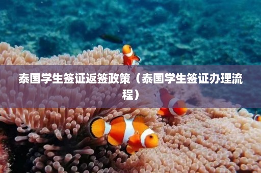 泰国学生签证返签政策（泰国学生签证办理流程）