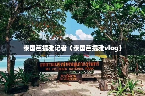 泰国芭提雅记者（泰国芭提雅vlog）