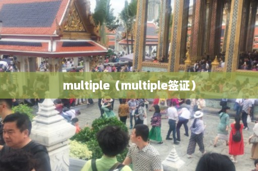 multiple（multiple签证）