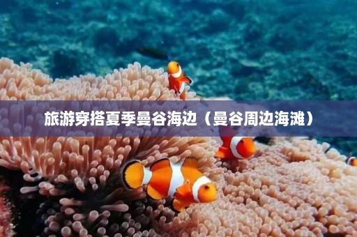 旅游穿搭夏季曼谷海边（曼谷周边海滩）