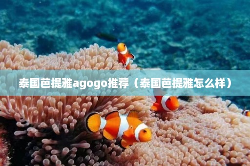 泰国芭提雅agogo推荐（泰国芭提雅怎么样）