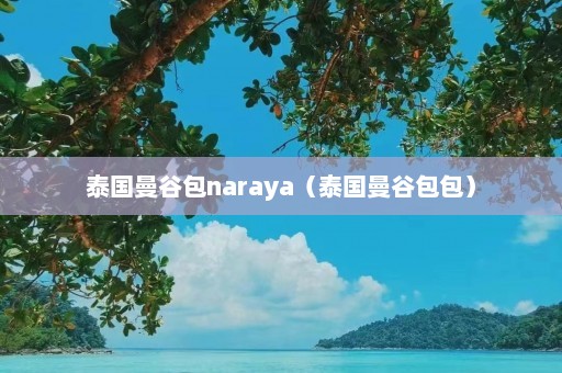 泰国曼谷包naraya（泰国曼谷包包）