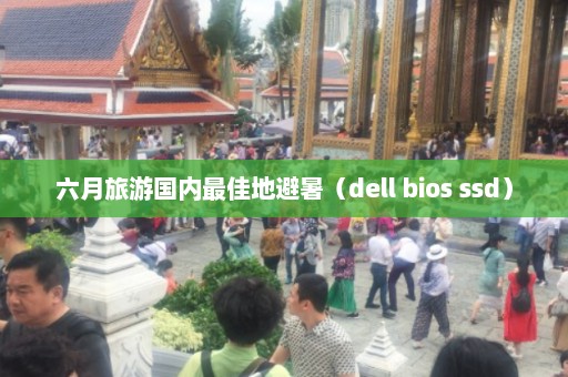 六月旅游国内最佳地避暑（dell bios ssd）  第1张