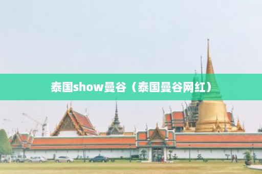 泰国show曼谷（泰国曼谷网红）