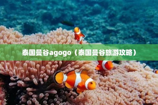 泰国曼谷agogo（泰国曼谷旅游攻略）