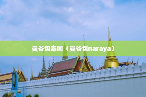 曼谷包泰国（曼谷包naraya）  第1张